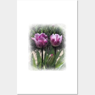 Soft Purple Pattern Tulips Posters and Art